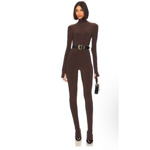 Brown Fitted Jumpsuit with Turtleneck and Long Sleeves